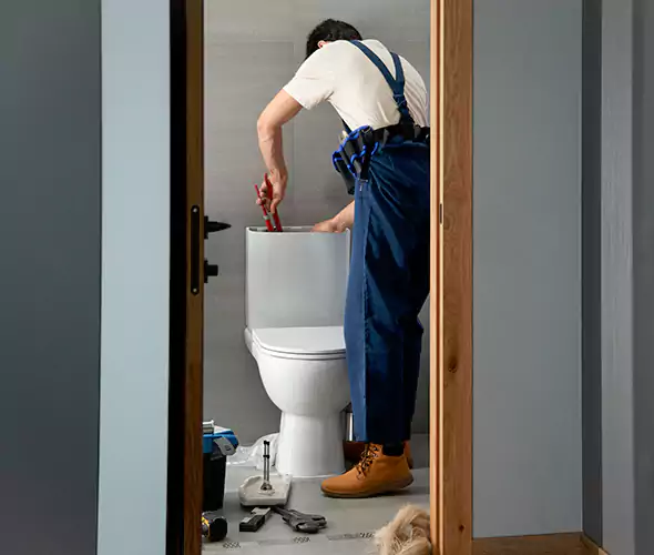 Professional Plumbers for Toilet Bowl Replacement in Newport Beach, CA: Schedule Affordable Toilet Replacement Services With Us