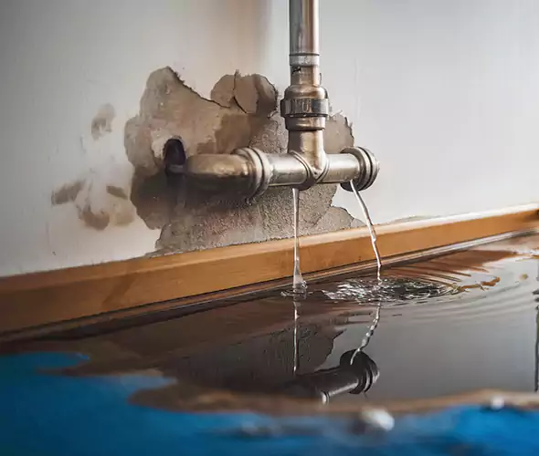Professional Water Damage Restoration Experts in Newport Beach, CA — Fast, Reliable & Certified