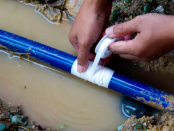  Why Choose Newport Beach Plumbing Pros for Leak Detection in Newport Beach, CA?]